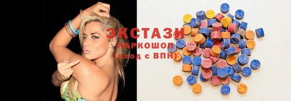 индика Арсеньев