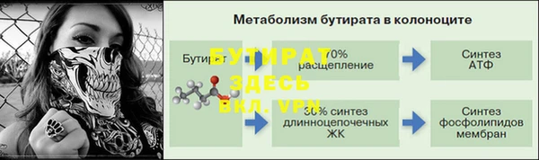 индика Арсеньев