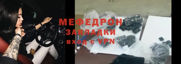 индика Арсеньев