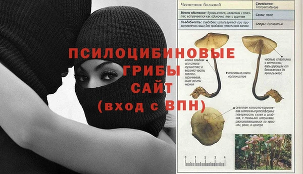 спайс Аркадак