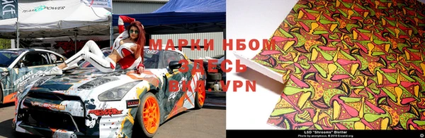 индика Арсеньев