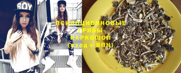 индика Арсеньев
