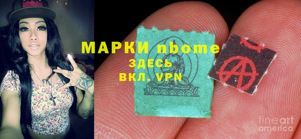 индика Арсеньев