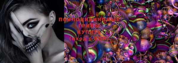 индика Арсеньев
