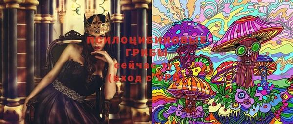 спайс Аркадак