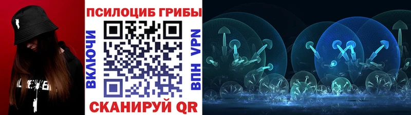 сайты даркнета клад  цены наркотик  Тюкалинск  Псилоцибиновые грибы Psilocybe 